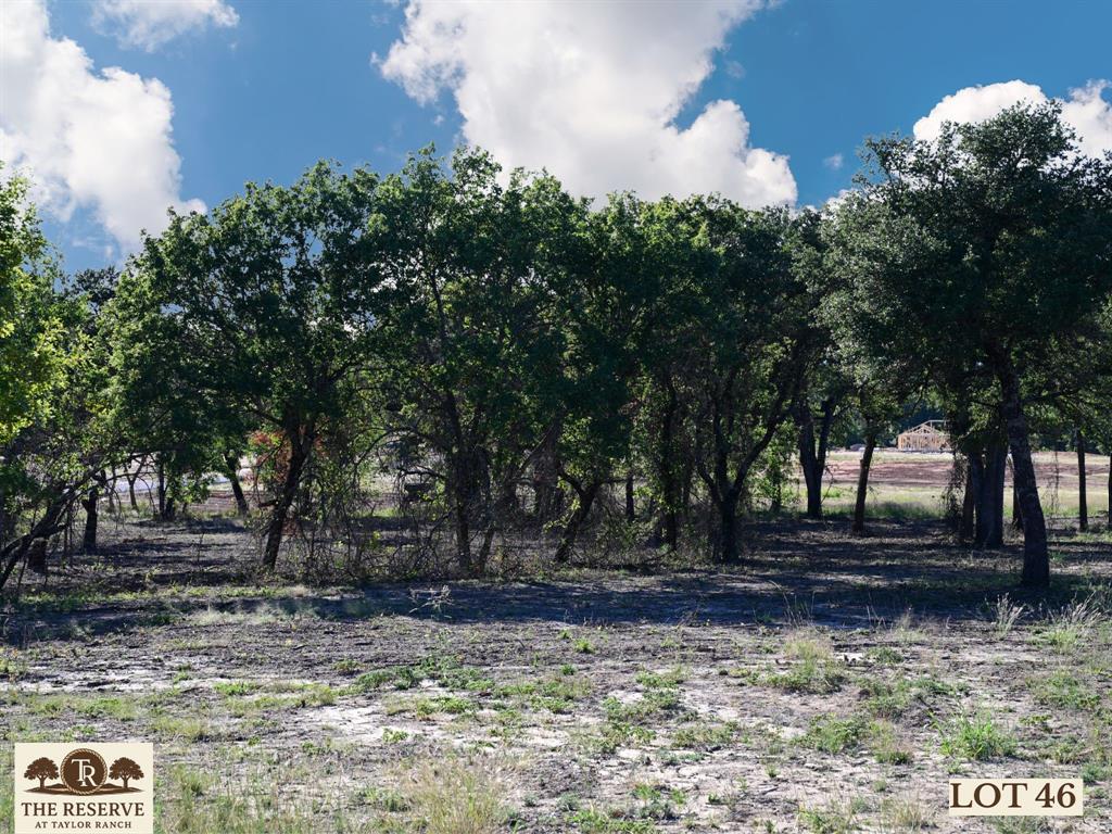Lot 46 Colt Road Springtown, TX 76082 - Photo 3 of 14 a view of backyard with green space