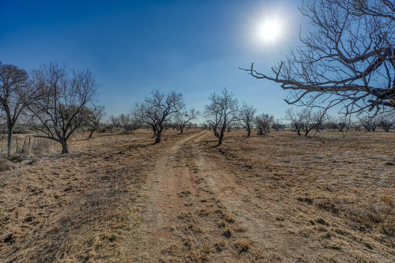 4536 Highway 29 Llano, TX 78643 - Photo 2 of 15