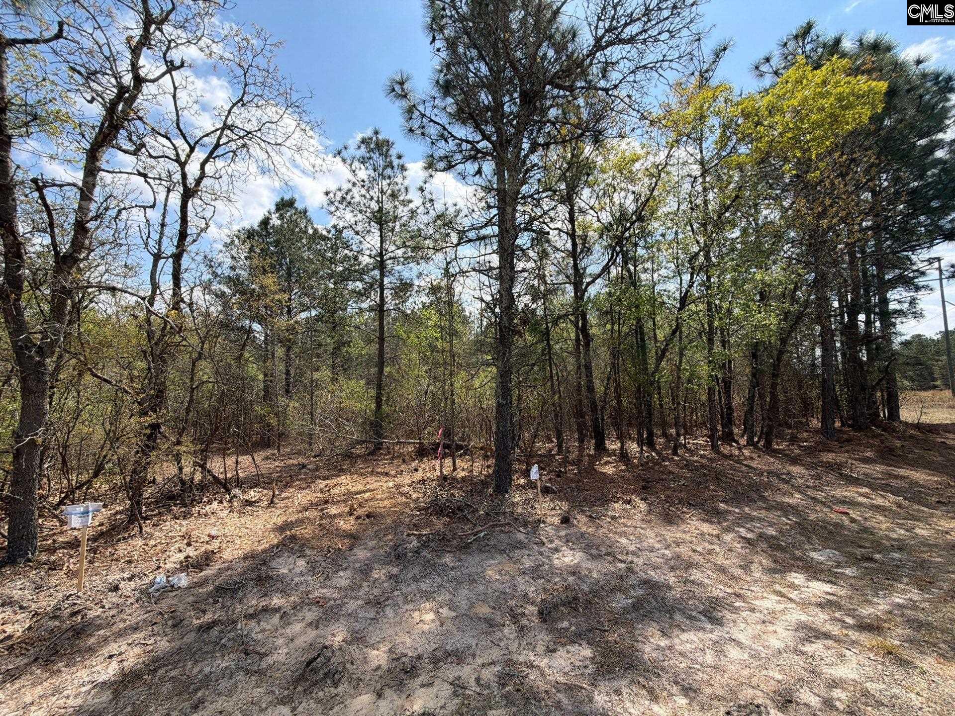 2 Mt Calvary Rd Ridge Spring, Unit CA 2 Ridge Spring, SC 29129 - Photo 9 of 29