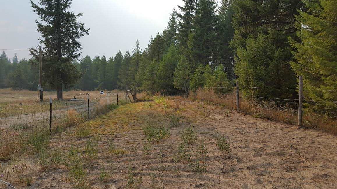 2361 Elmers Loop Road Newport, WA 99156 - Photo 16 of 20 Gallery Image 16