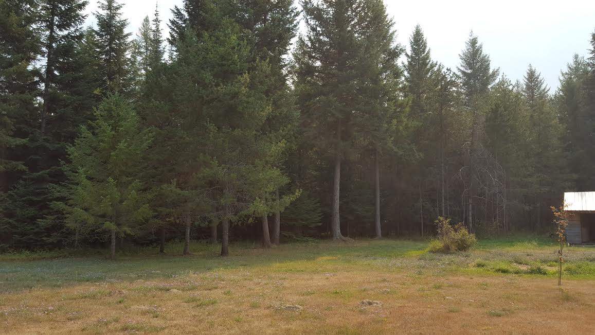 2361 Elmers Loop Road Newport, WA 99156 - Photo 18 of 20 Gallery Image 18