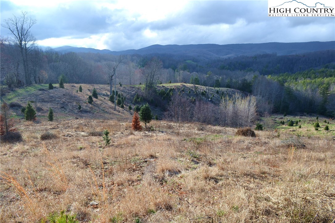 180 Country View Road Troutdale, VA 24378 - Photo 11 of 33 Gallery Image 11