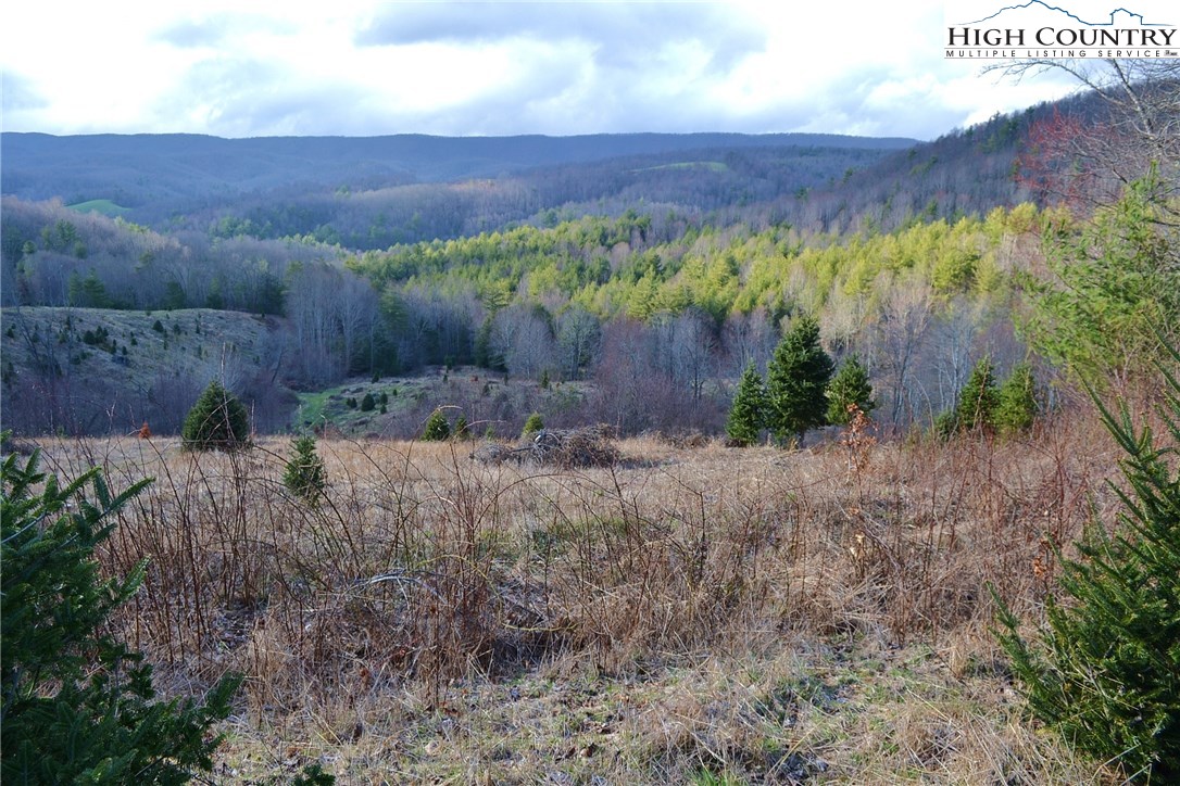 180 Country View Road Troutdale, VA 24378 - Photo 15 of 33 Gallery Image 15