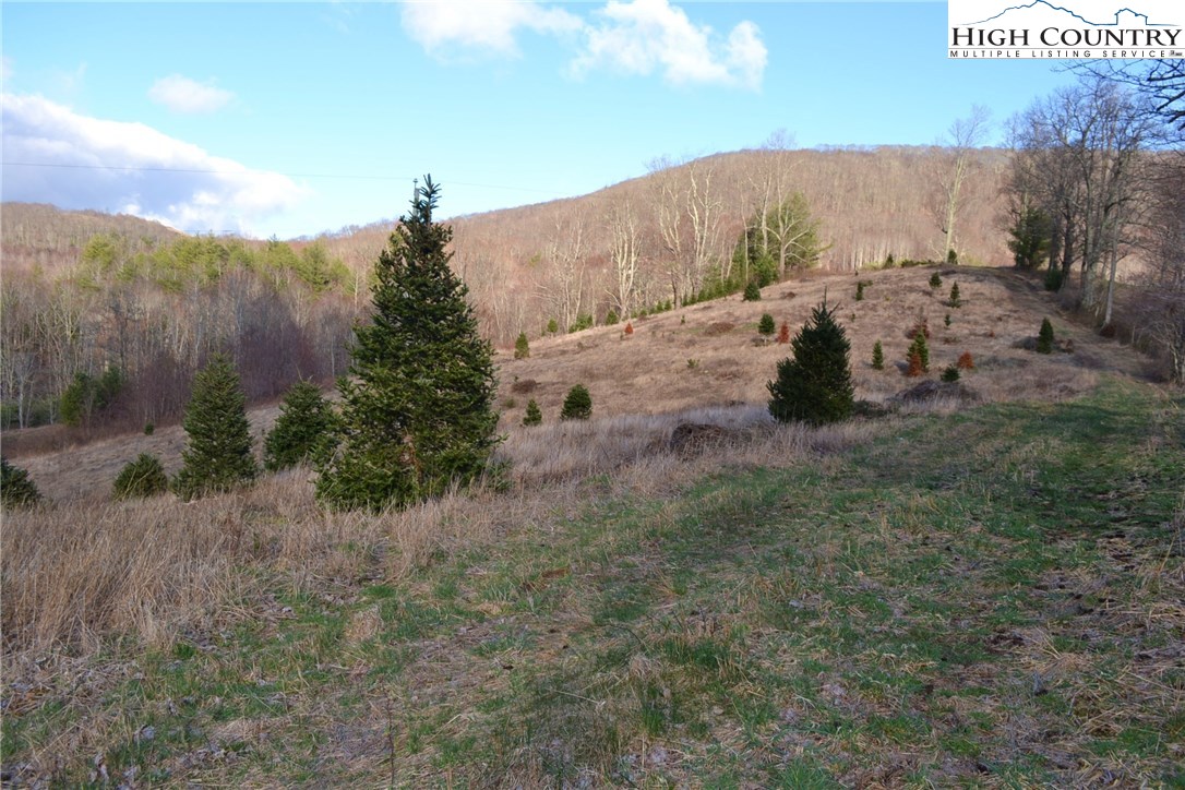 180 Country View Road Troutdale, VA 24378 - Photo 16 of 33 Gallery Image 16