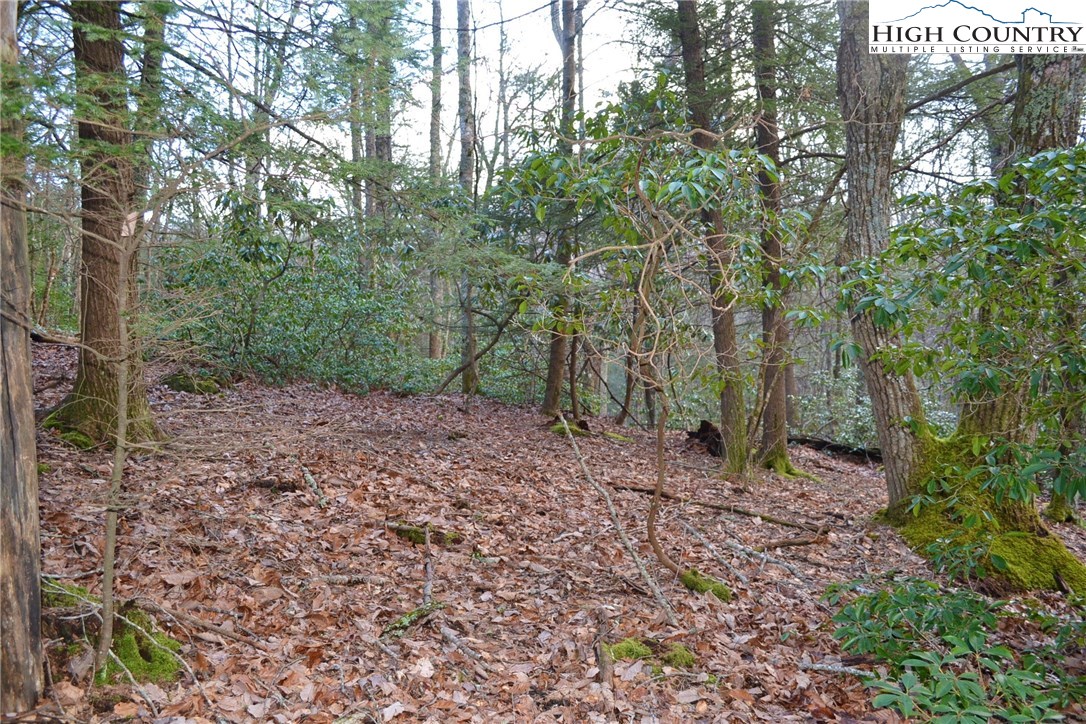 180 Country View Road Troutdale, VA 24378 - Photo 19 of 33 Gallery Image 19