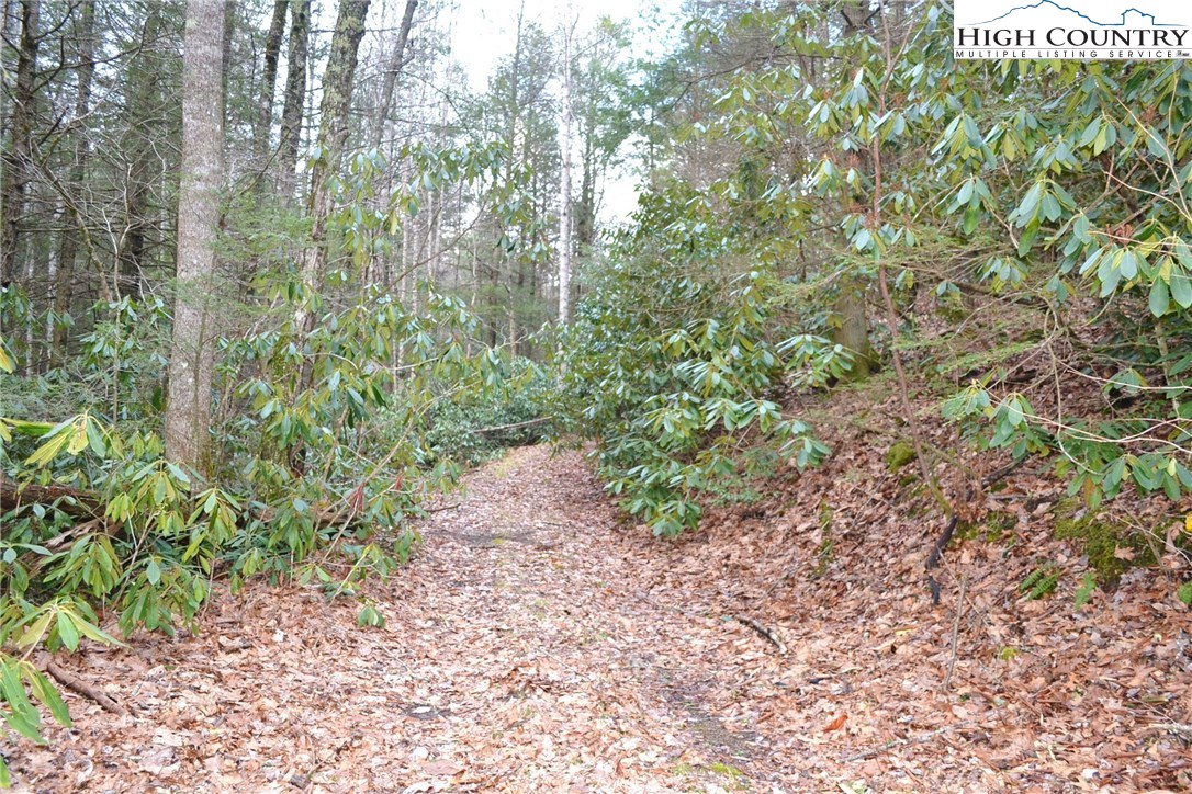 180 Country View Road Troutdale, VA 24378 - Photo 7 of 33 Gallery Image 7
