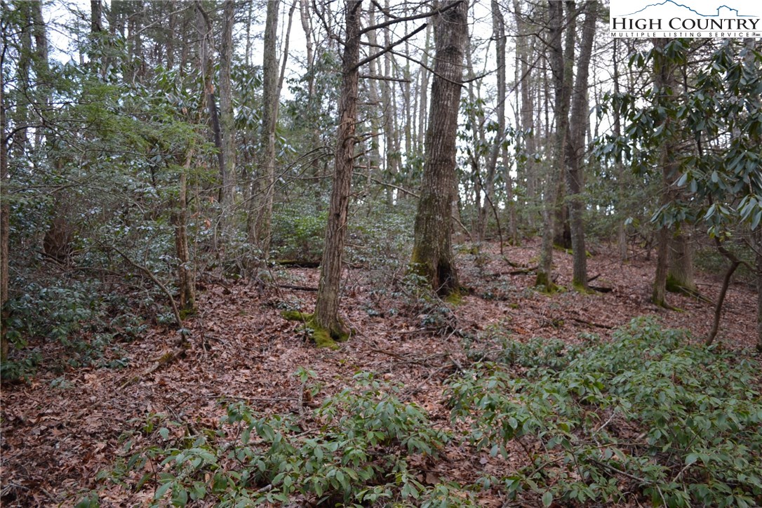 180 Country View Road Troutdale, VA 24378 - Photo 8 of 33 Gallery Image 8