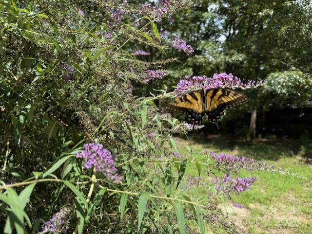 1017 Warlick Road Lawndale, NC 28090 - Photo 29 of 39 a backyard of a house with a table and chairs