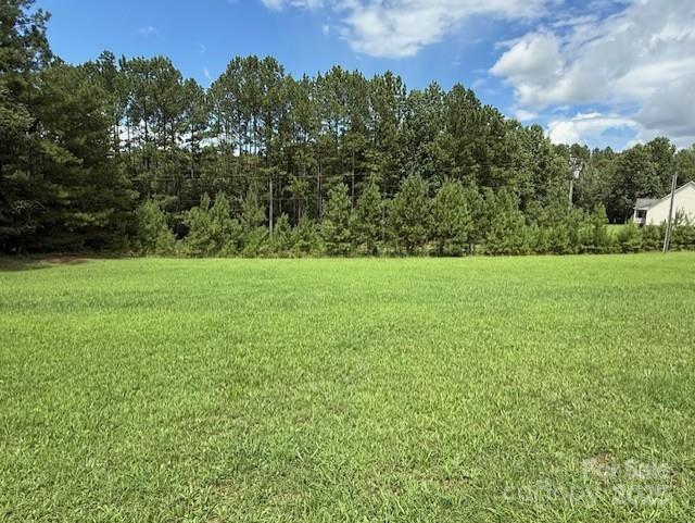 1017 Warlick Road Lawndale, NC 28090 - Photo 37 of 39 a view of a grassy field with trees in the background