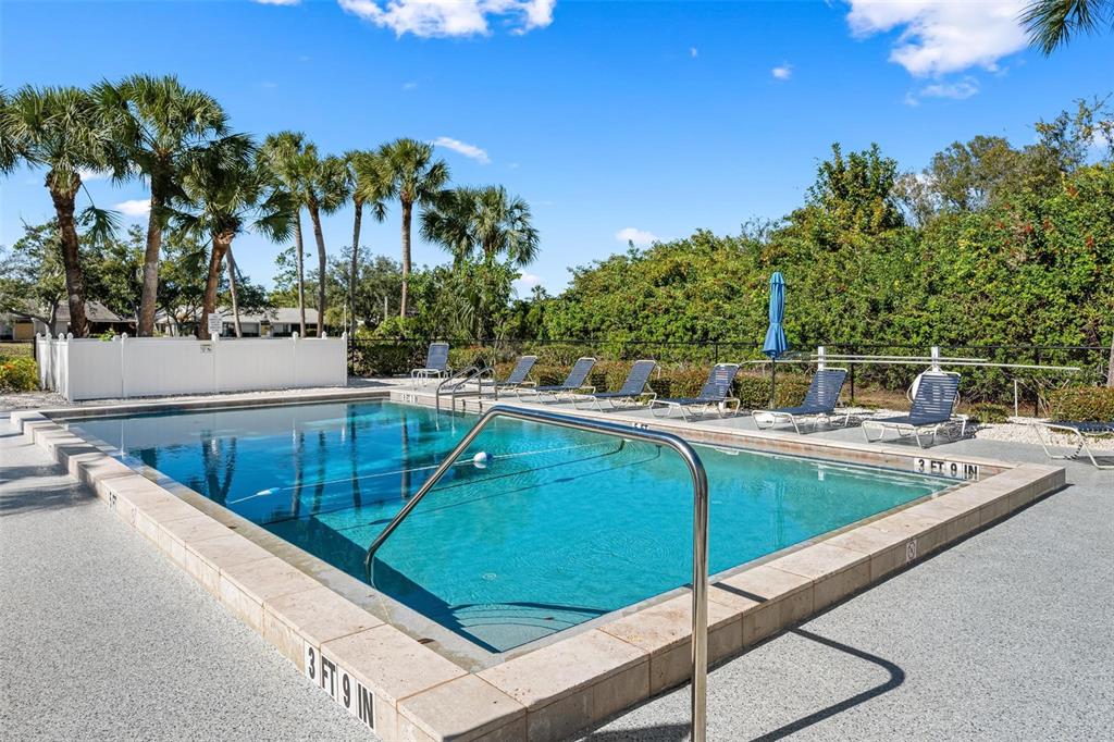 270 Cerromar Way South, Unit 57 Venice, FL 34293 - Photo 37 of 81 a view of a swimming pool with a lawn chairs under palm trees