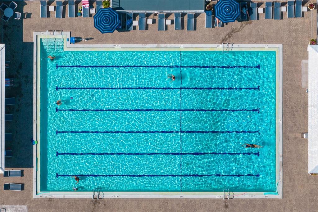 270 Cerromar Way South, Unit 57 Venice, FL 34293 - Photo 45 of 81