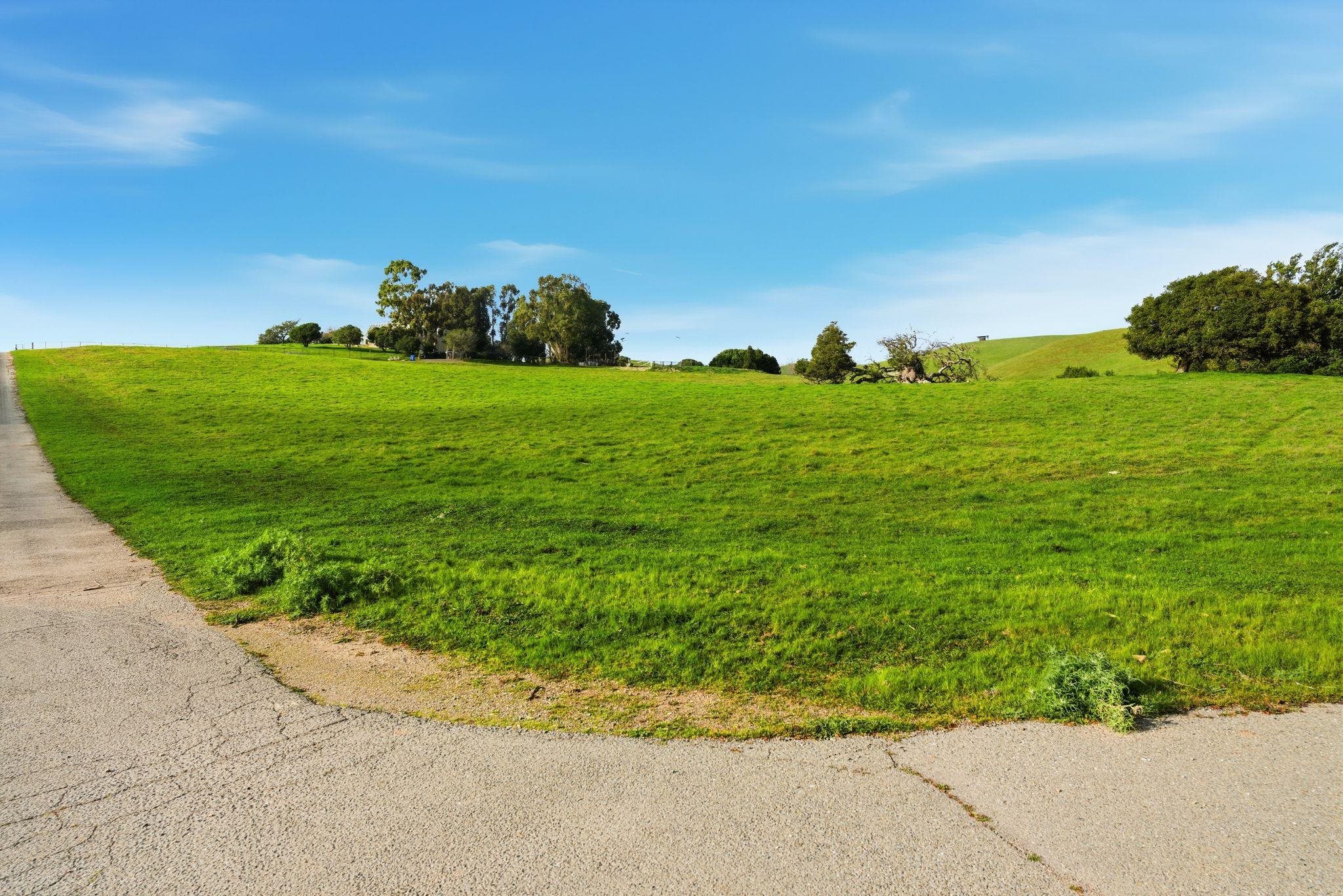 2395 Tecado Terrace Fremont, CA 94539 - Photo 30 of 37 a view of a grassy area with an trees