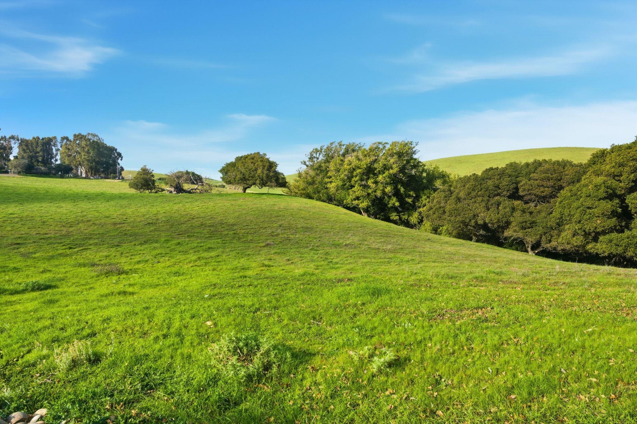 2395 Tecado Terrace Fremont, CA 94539 - Photo 31 of 37 a view of a field with an ocean