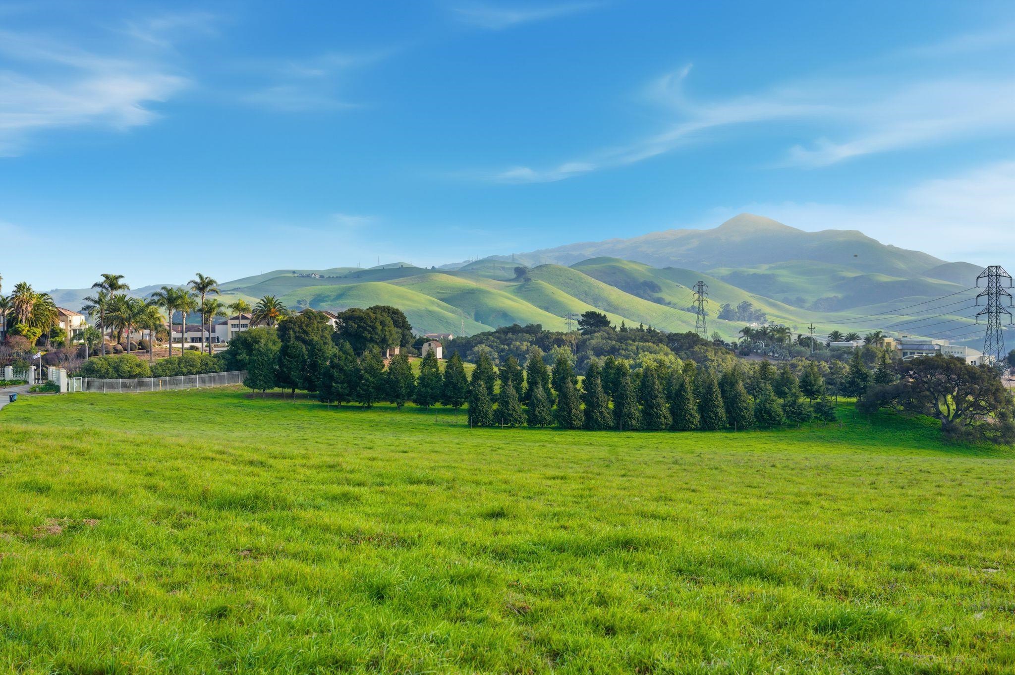 2395 Tecado Terrace Fremont, CA 94539 - Photo 33 of 37 a view of a garden