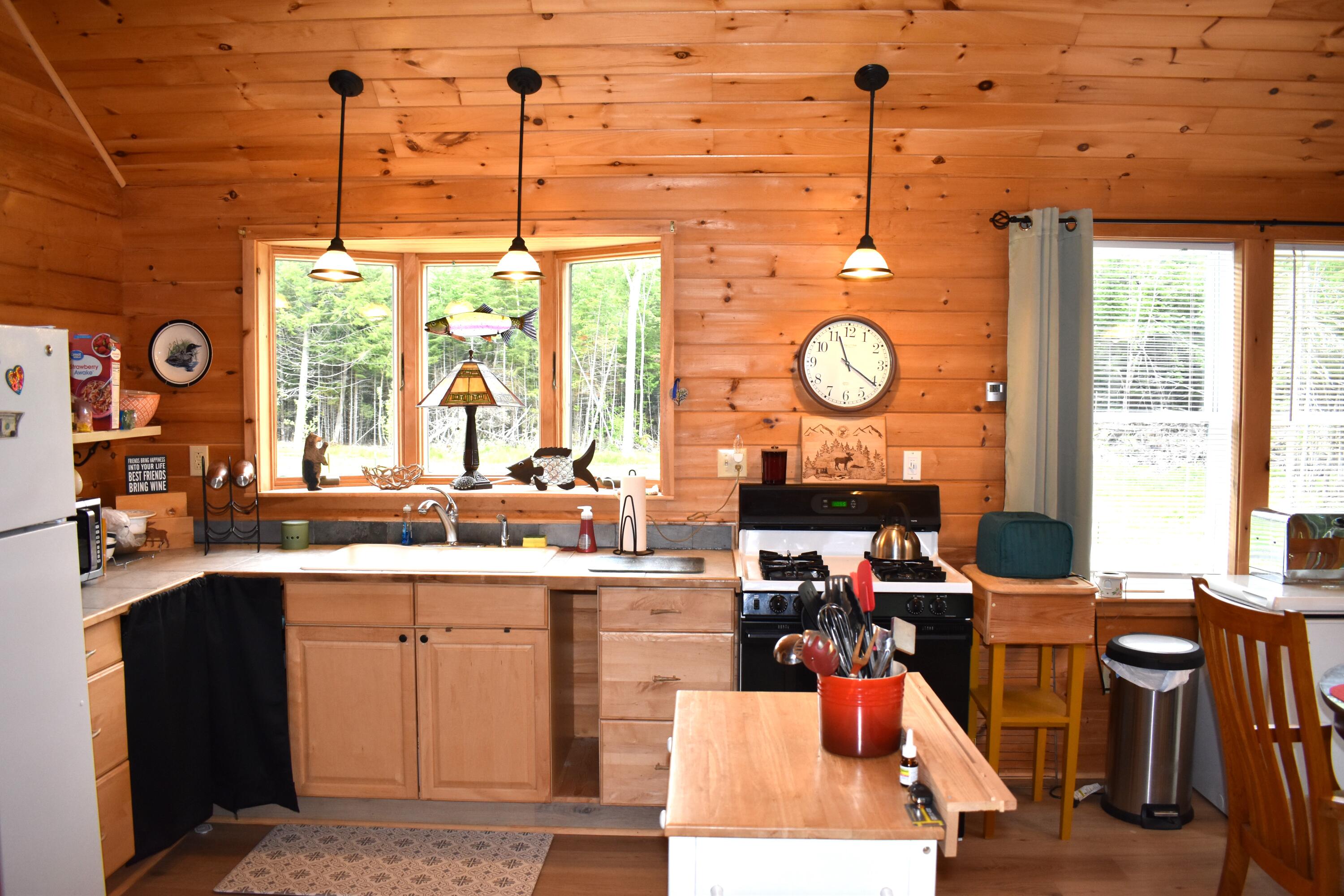595 Long Point Road Lakeville, ME 04487 - Photo 12 of 47 DSC_0937