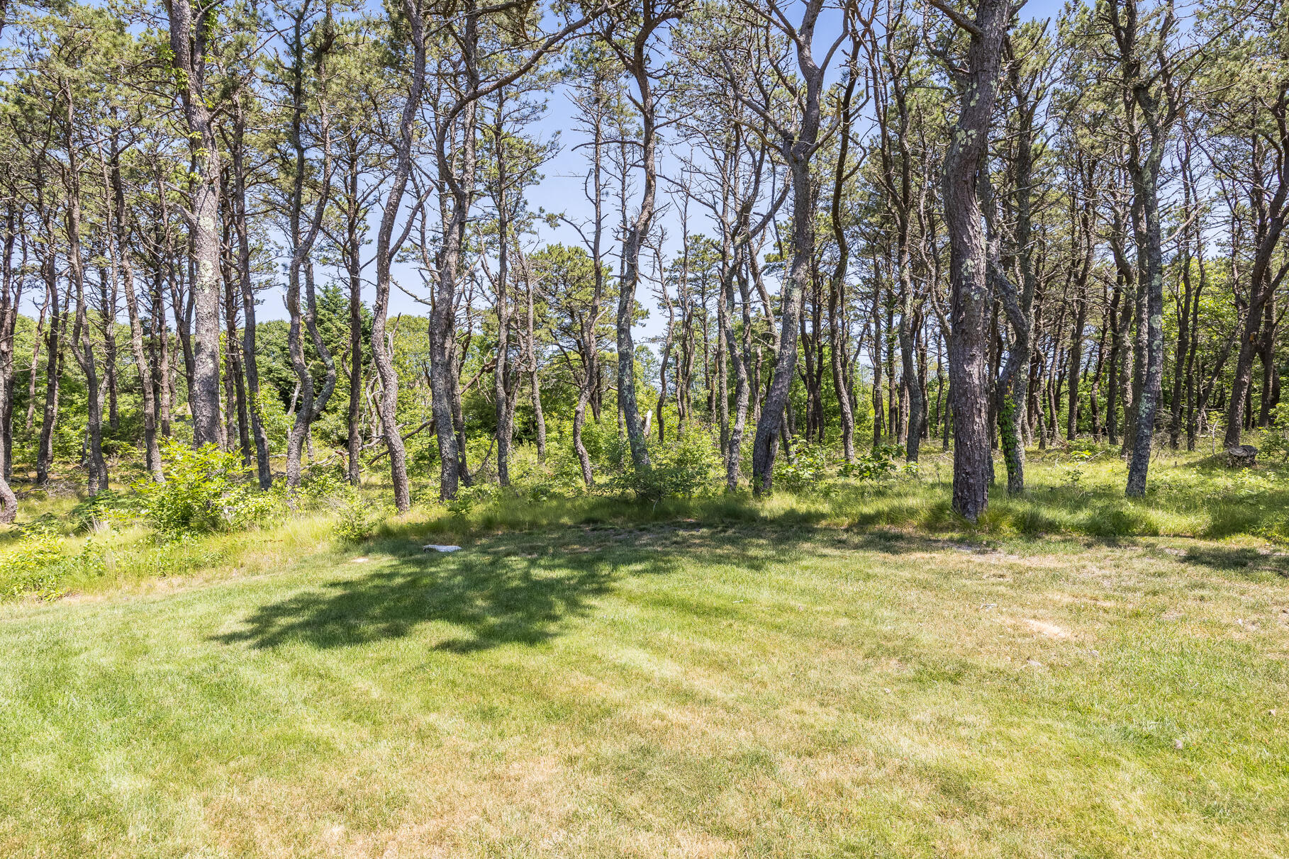 72 South Highland Road Truro, MA 02666 - Photo 46 of 59 9L4A1404