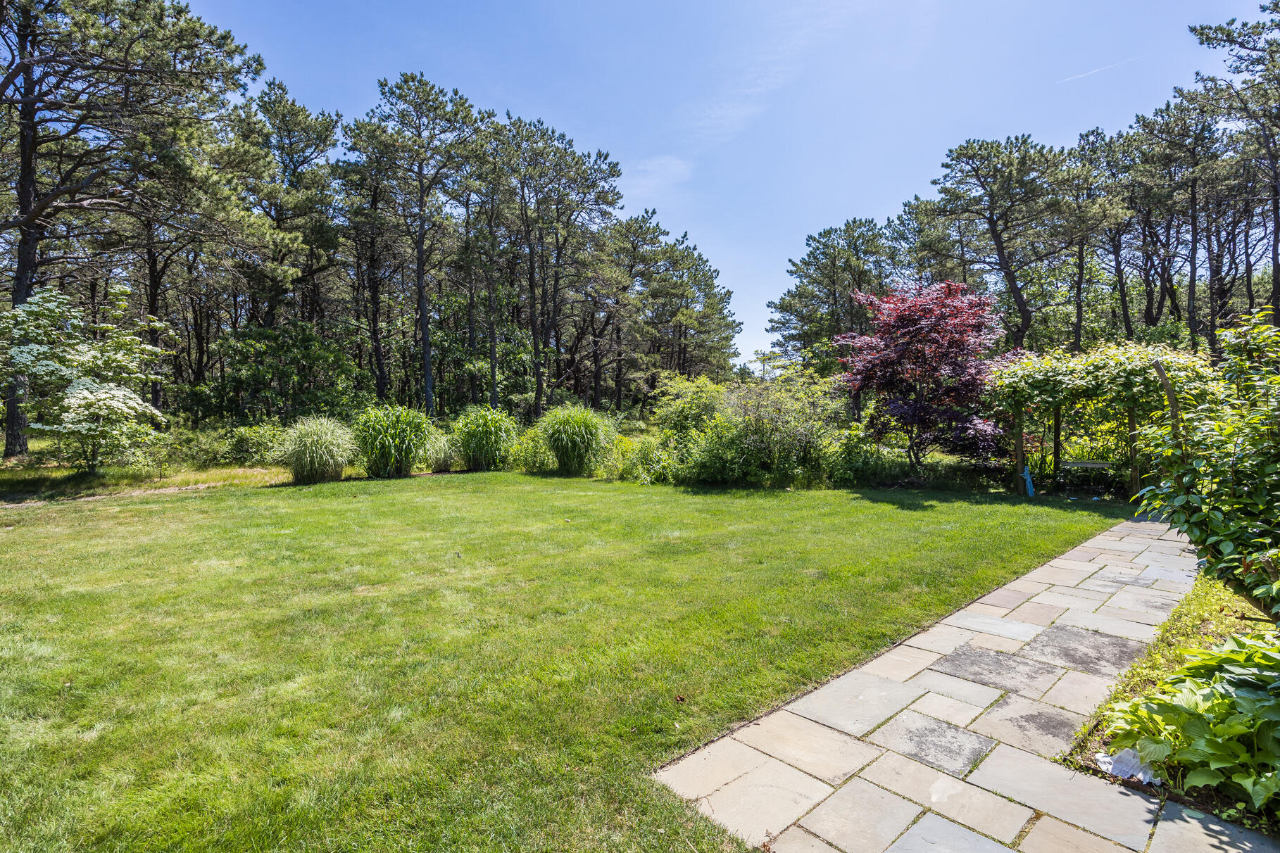 72 South Highland Road Truro, MA 02666 - Photo 47 of 59 a backyard of a house with lots of green space