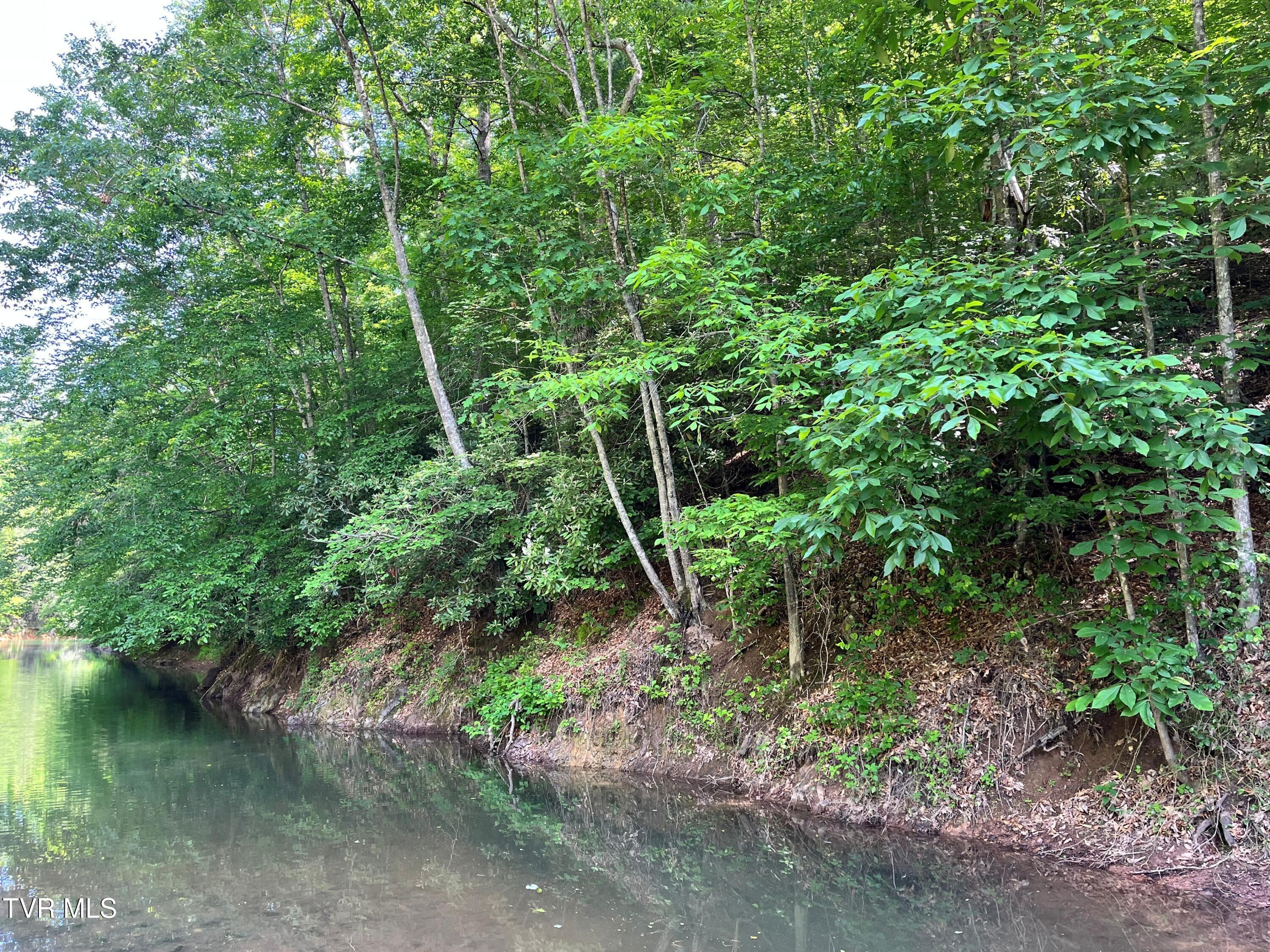 Tr1 Smith Hollow Road, Unit 1 3 3A 4 Butler, TN 37640 - Photo 10 of 37 jh9