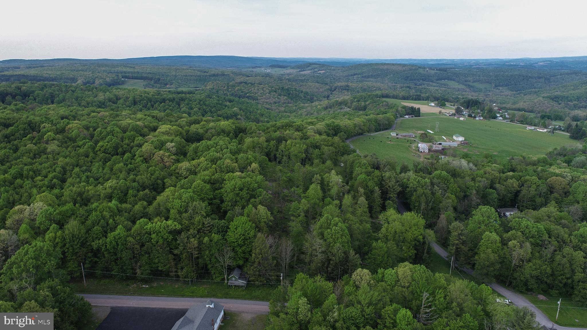 Greengables Road Friendsville, MD 21531 - Photo 5 of 18 an aerial view of forest