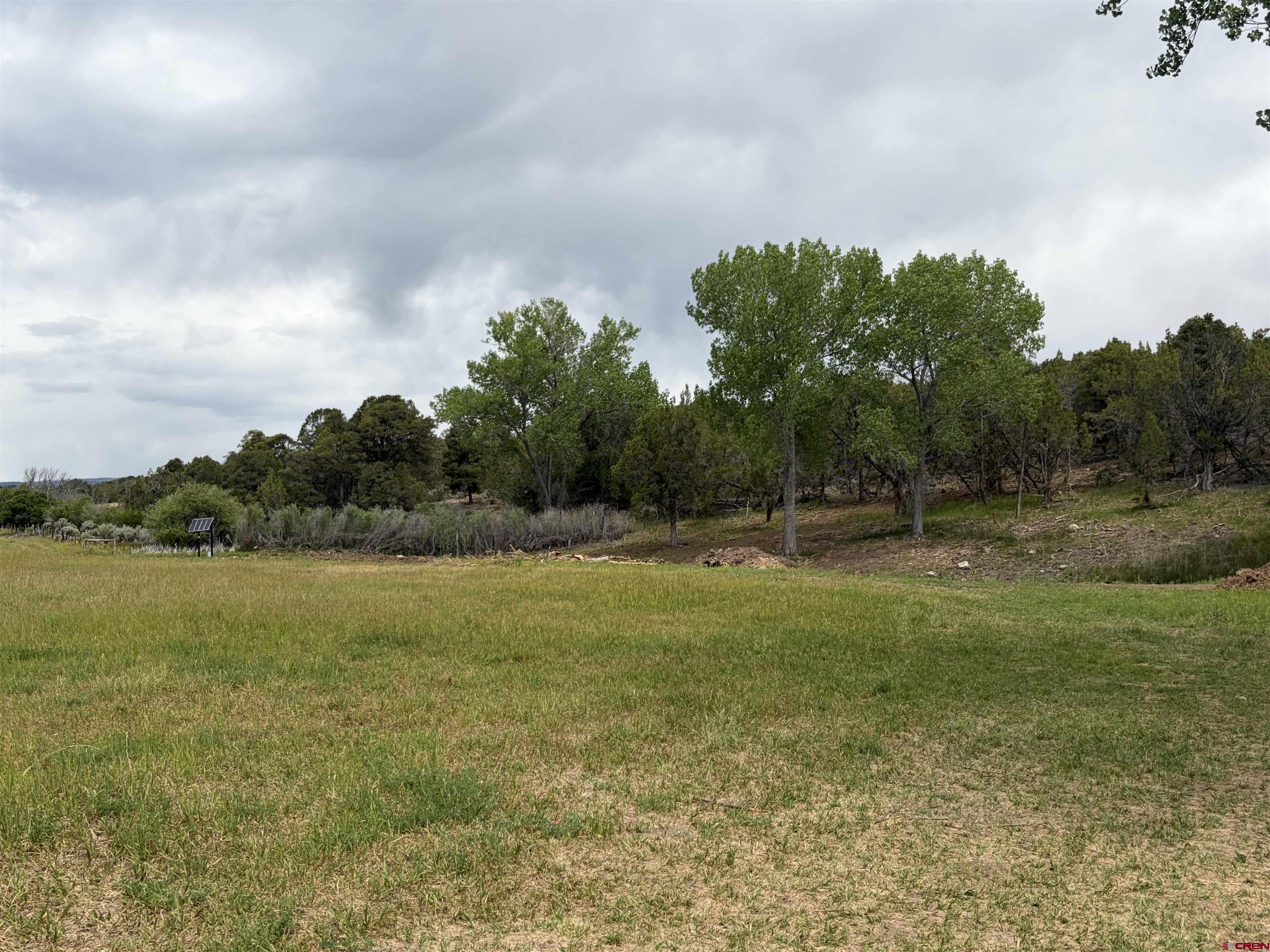 Tbd Cactus Park Road Cedaredge, CO 81413 - Photo 11 of 12