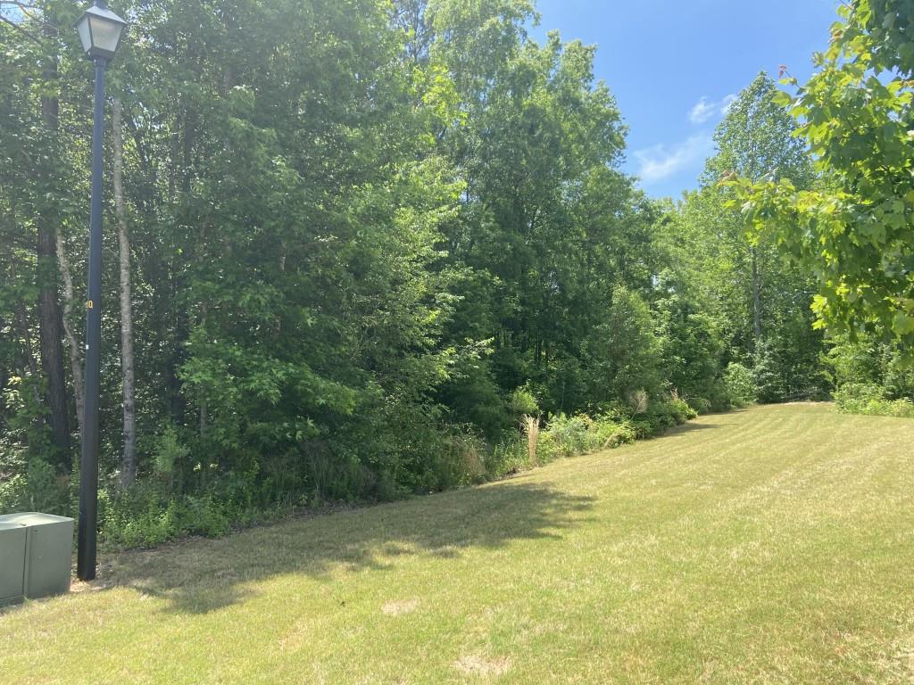 271 Windpher Ridge Hampton, GA 30228 - Photo 1 of 1 a view of a yard with trees