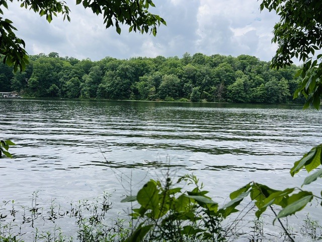 Lot 147 Parrish Ridge Goreville, IL 62939 - Photo 7 of 20