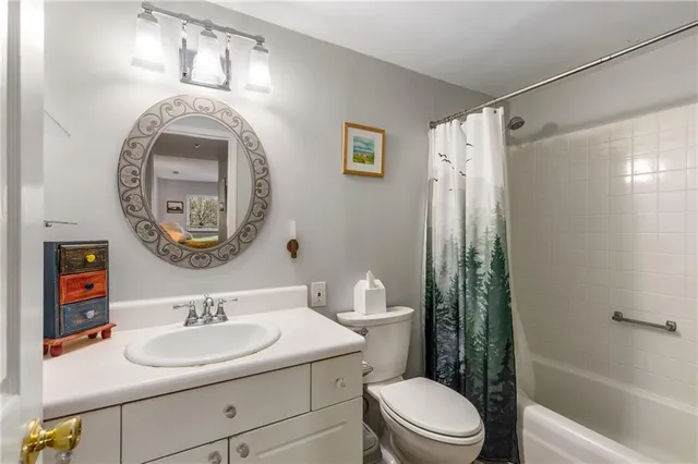 a bathroom with a sink a mirror a toilet and a shower