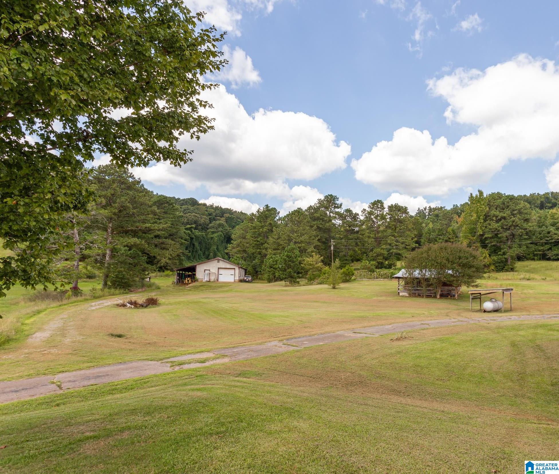 551 Burtram Road Springville, AL 35146 - Photo 19 of 22