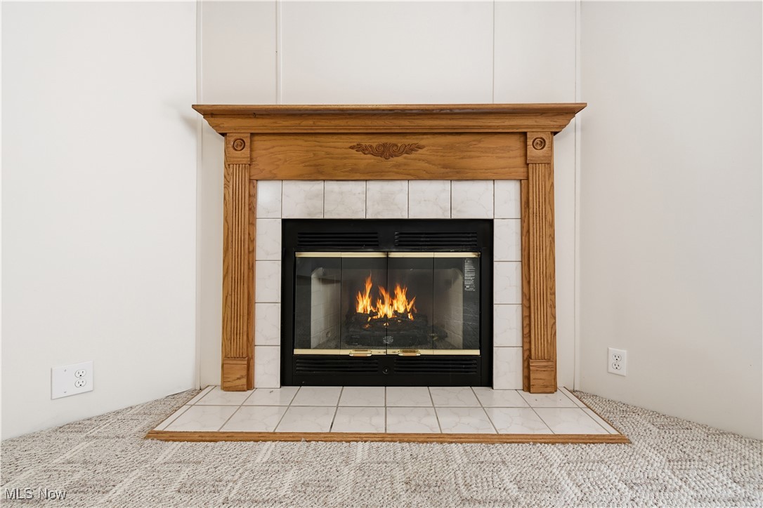 60602 Shaw Road Cambridge, OH 43725 - Photo 8 of 41 Detailed view of carpet flooring and a fireplace