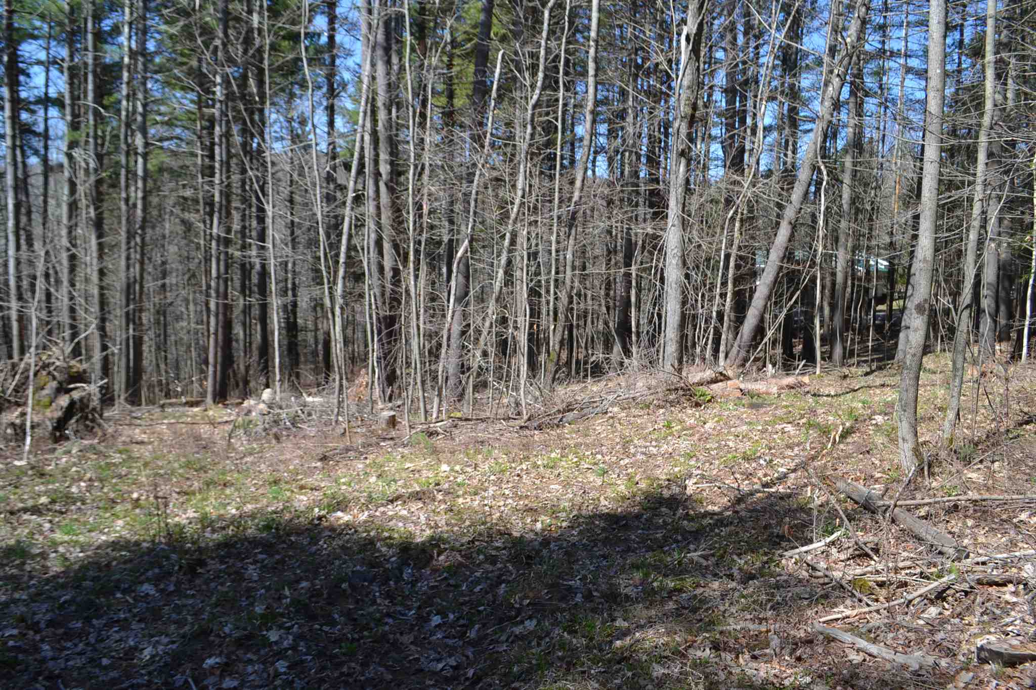793 Crosstown Road, Unit LOT 2 Berlin, VT 05663 - Photo 1 of 3 Gallery Image 1