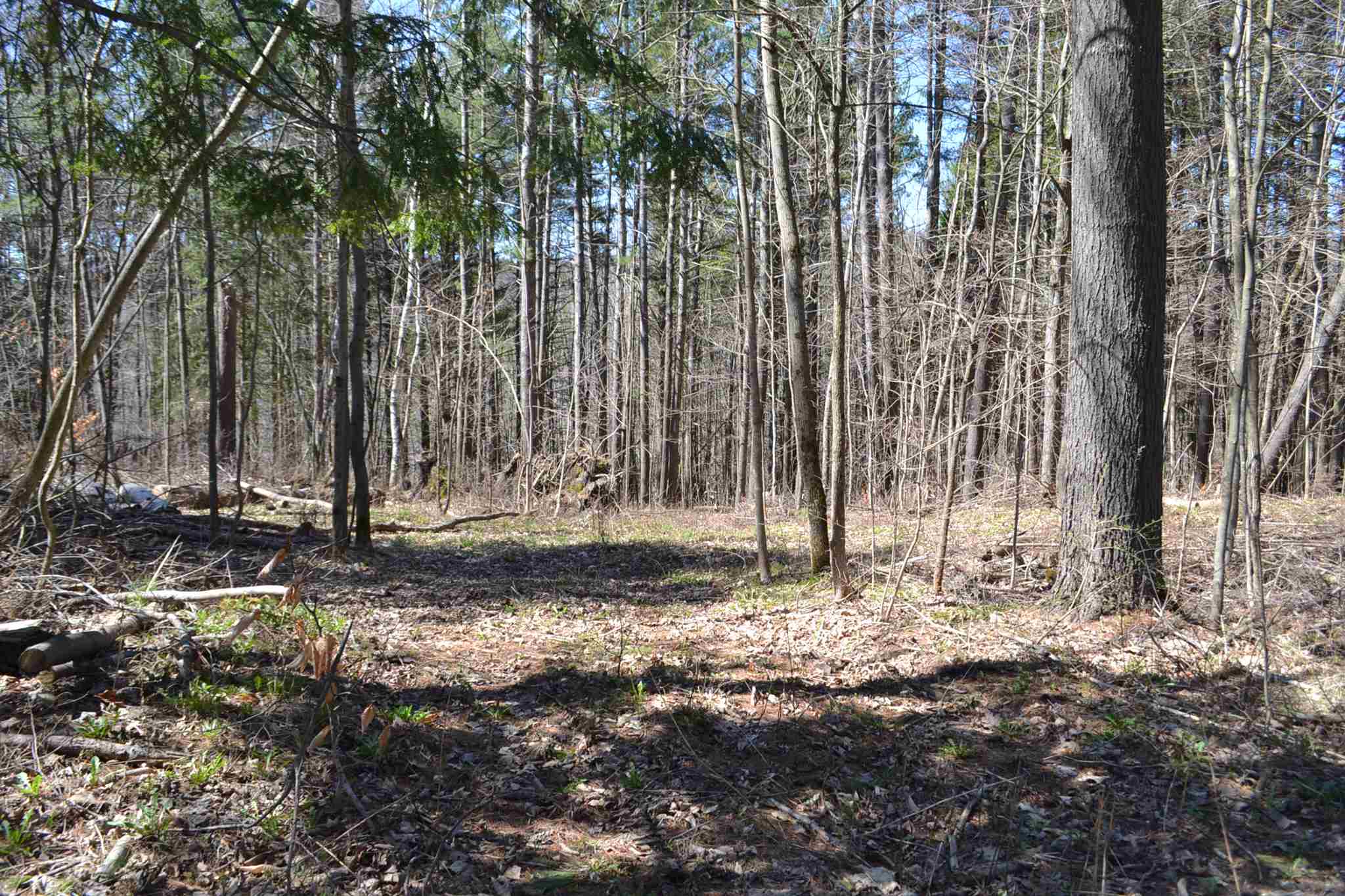 793 Crosstown Road, Unit LOT 2 Berlin, VT 05663 - Photo 2 of 3 Gallery Image 2