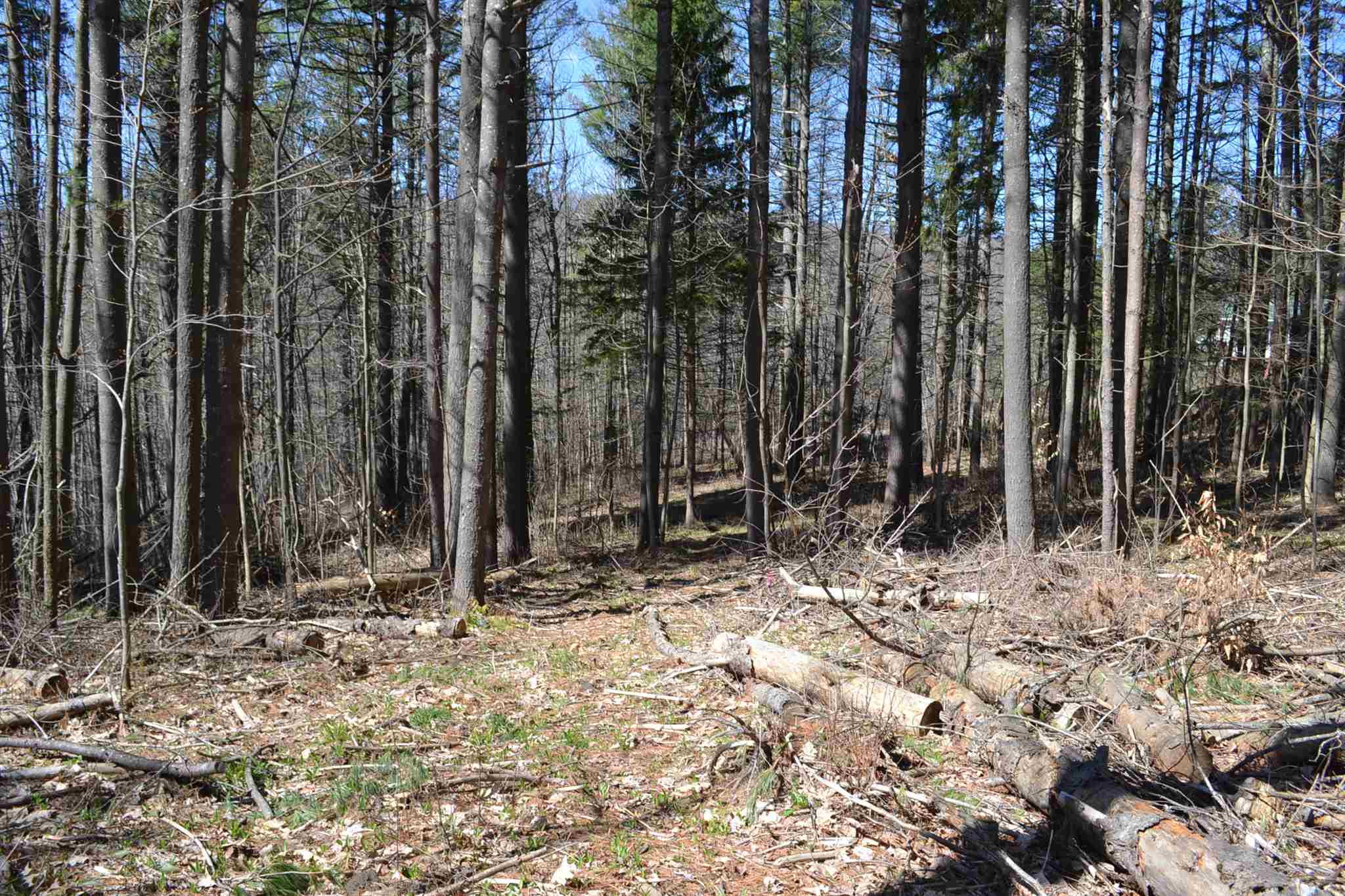 793 Crosstown Road, Unit LOT 2 Berlin, VT 05663 - Photo 3 of 3 Gallery Image 3