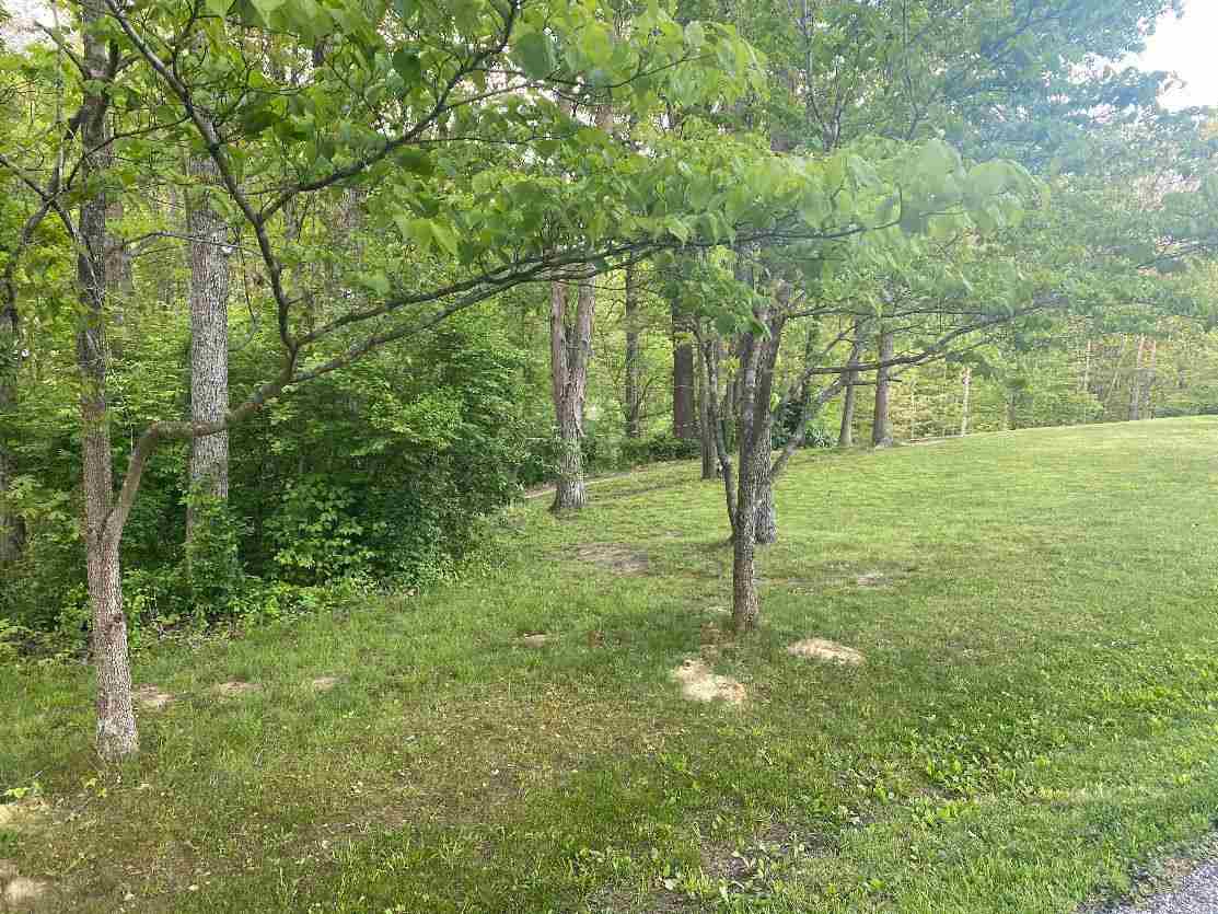 Lot28-27partial Eastview Road Catlettsburg, KY 41129 - Photo 2 of 5