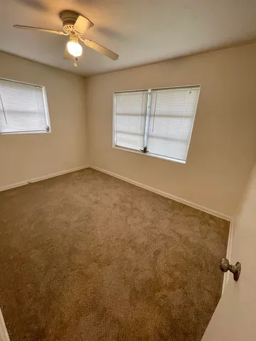 a view of a backyard with a large tree