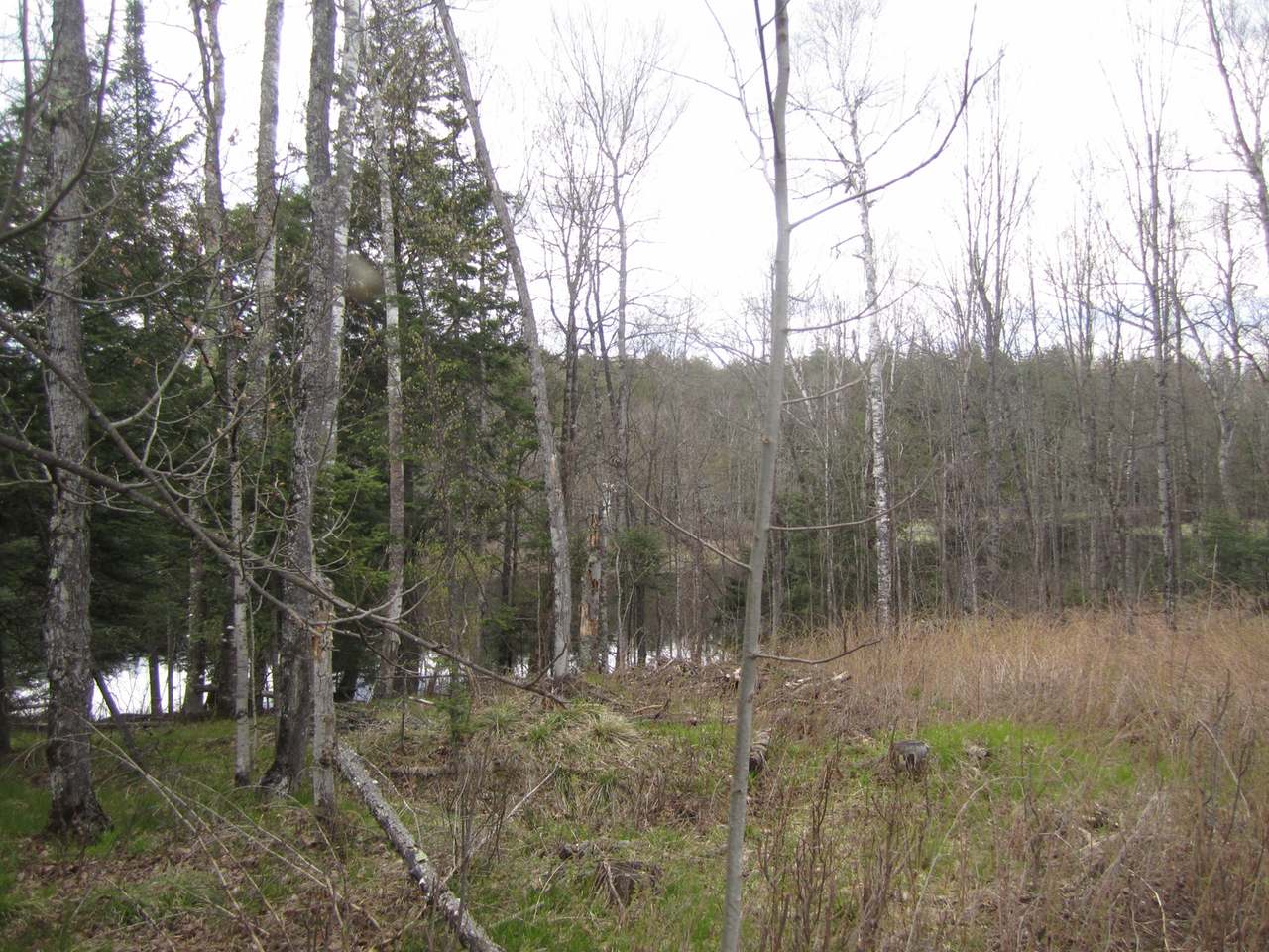 6284 Bambiland Road Mercer, WI 54547 - Photo 18 of 31 Gallery Image 18