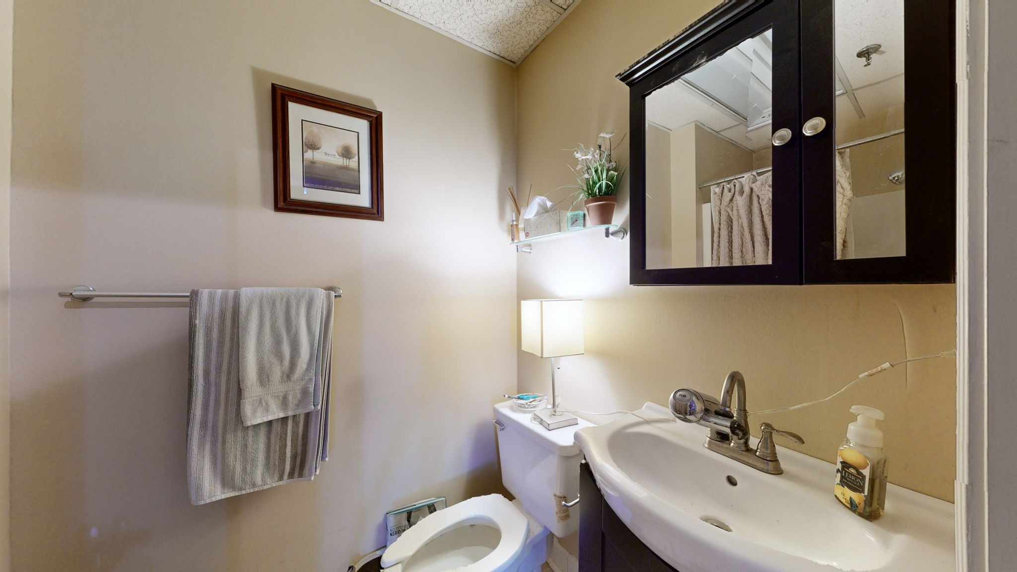 208 3rd Avenue North, Unit 400 Nashville, TN 37201 - Photo 28 of 40 a bathroom with a sink and a mirror