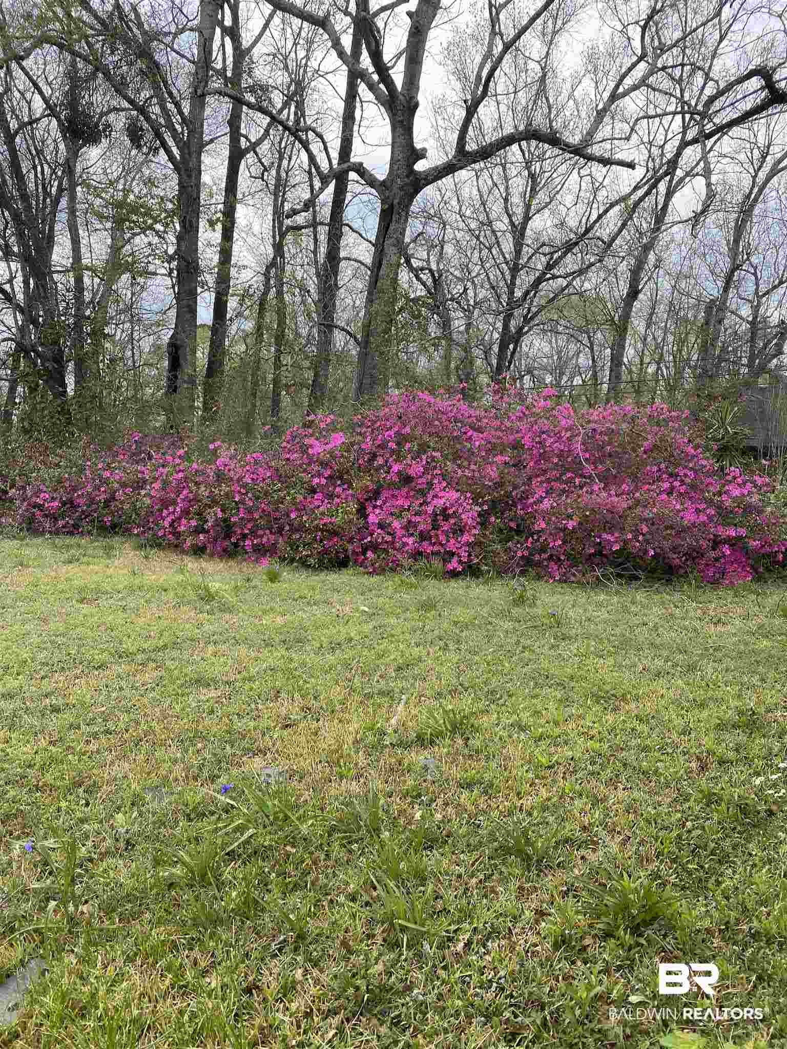 3047 West Main Street Mobile, AL 36612 - Photo 19 of 21