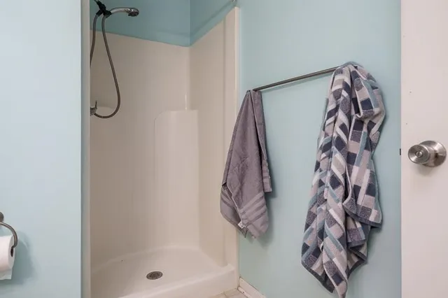 a bathroom with a shower curtain and a bathtub