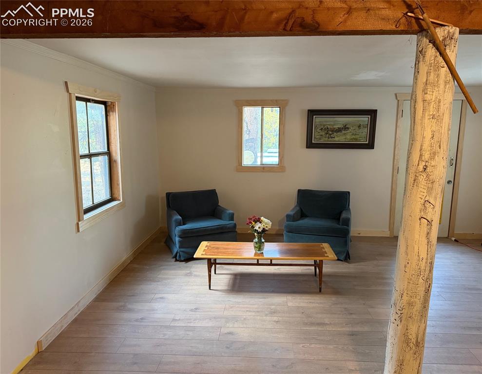 3800 Doe Valley Road Guffey, CO 80820 - Photo 29 of 43