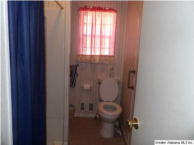 1290 Iron City Road Anniston, AL 36207 - Photo 4 of 11