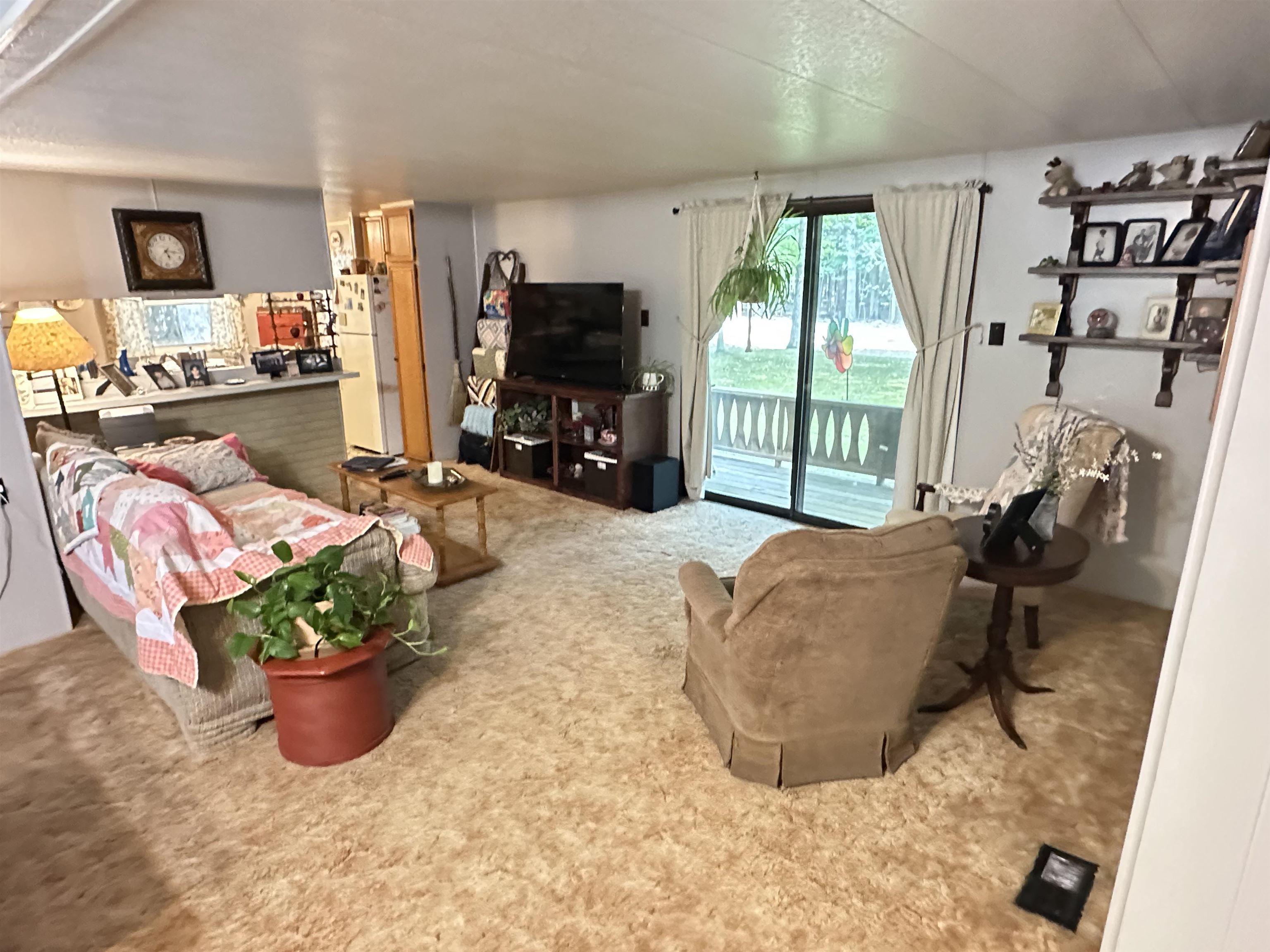 224 South Ferris Road Sumner, MI 48889 - Photo 5 of 16