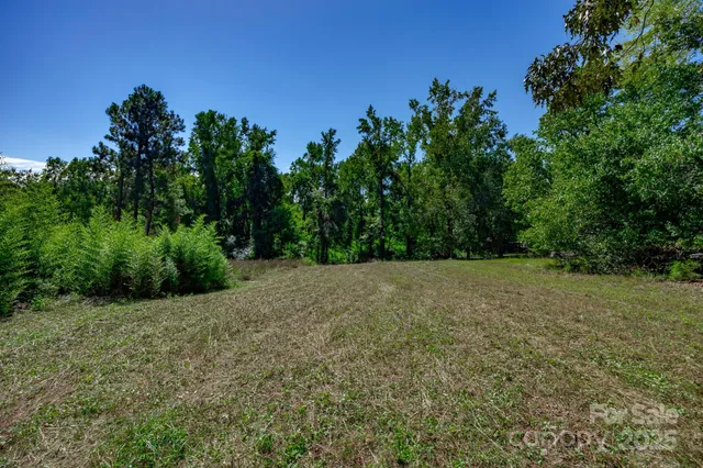 a view of a field with plants and trees