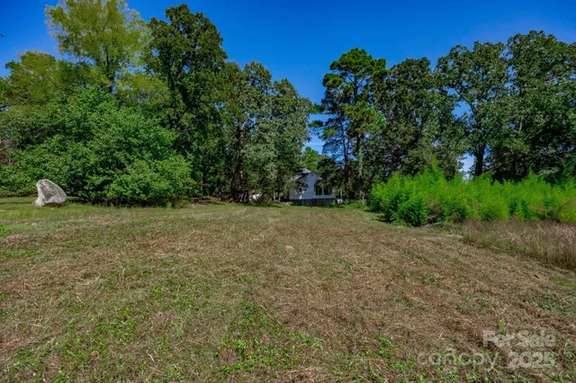 a view of a field with plants and trees