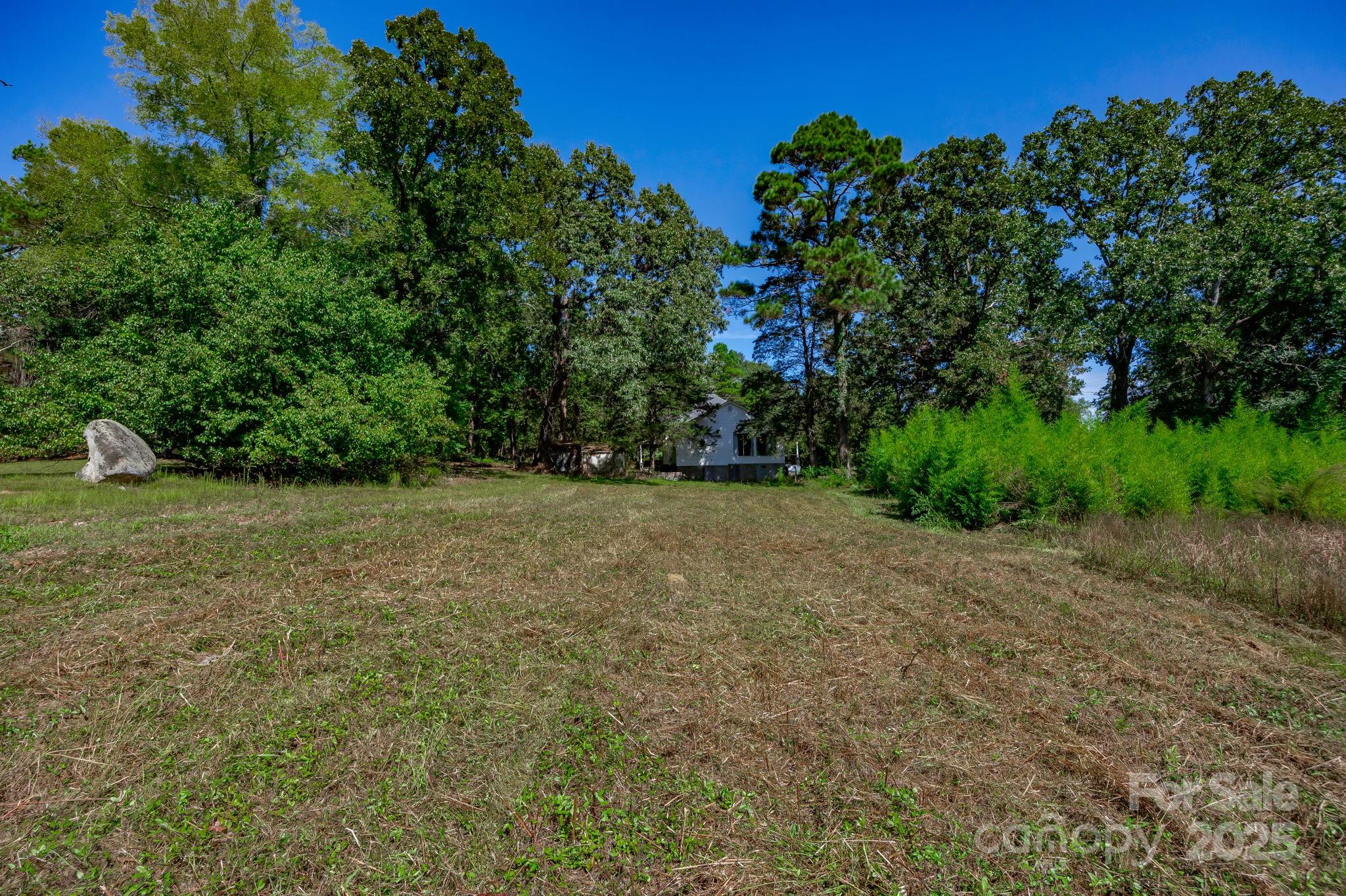 2086 State Rd S-20-19 Winnsboro, SC 29180 - Photo 29 of 30 a view of a field with plants and trees