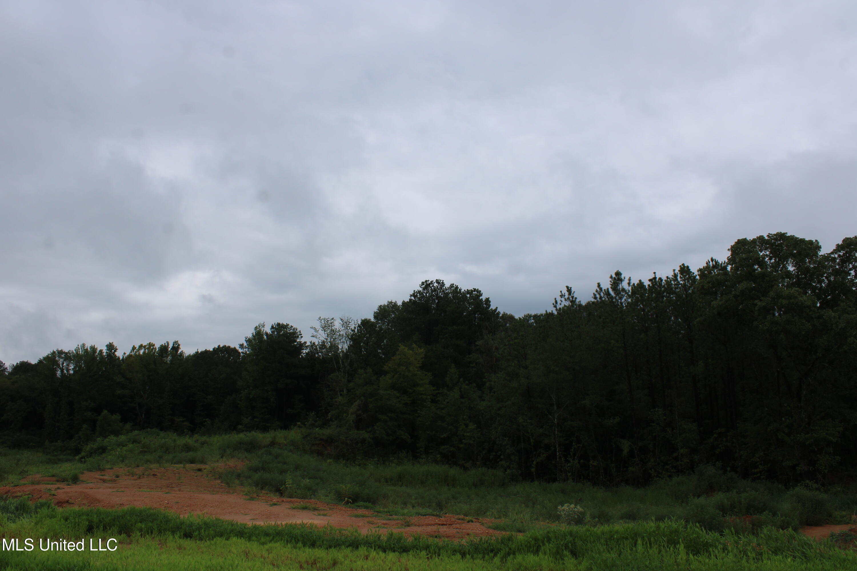 6 Taylor Nichole Road Byhalia, MS 38611 - Photo 19 of 22 IMG_2102