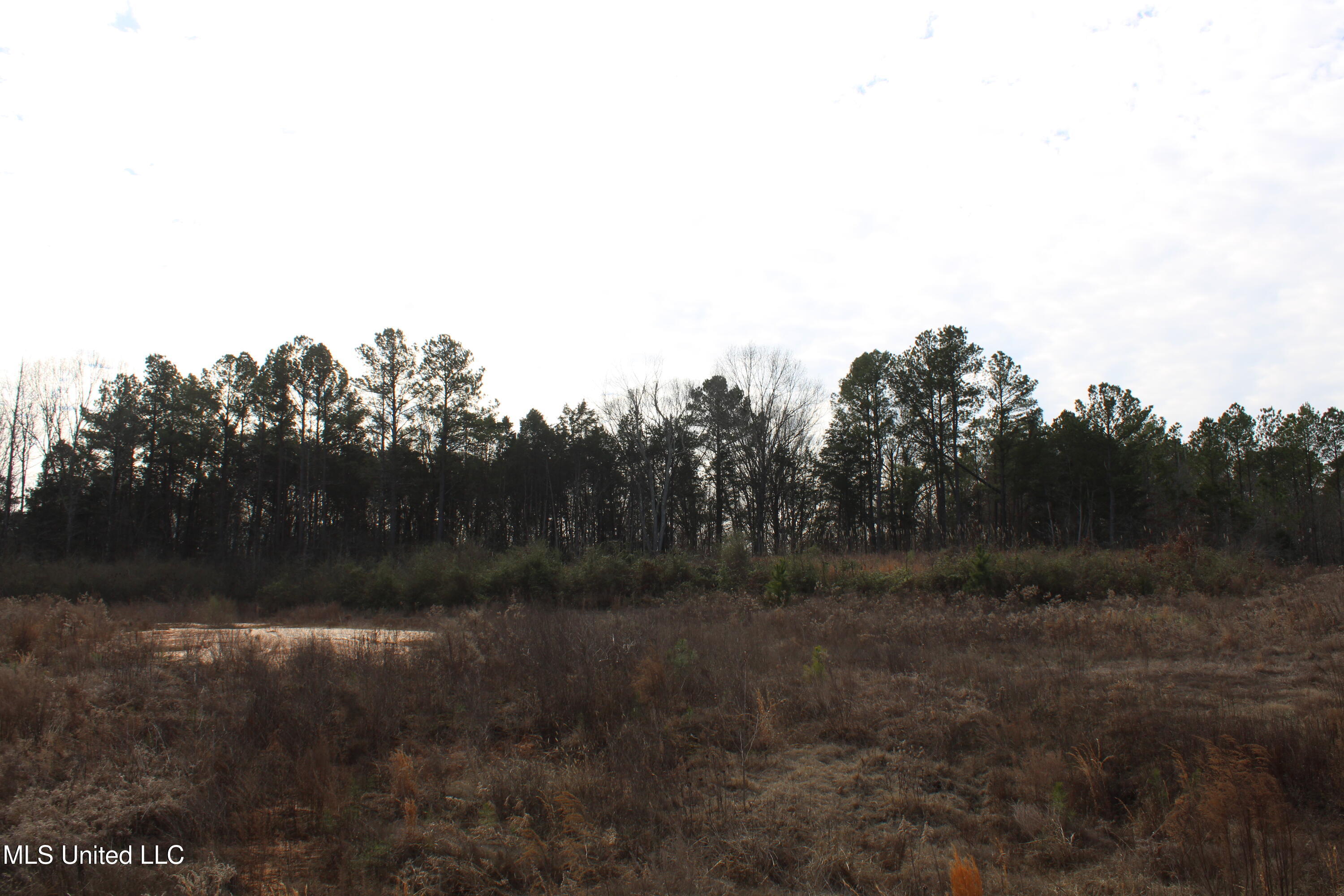 6 Taylor Nichole Road Byhalia, MS 38611 - Photo 5 of 22 IMG_7151