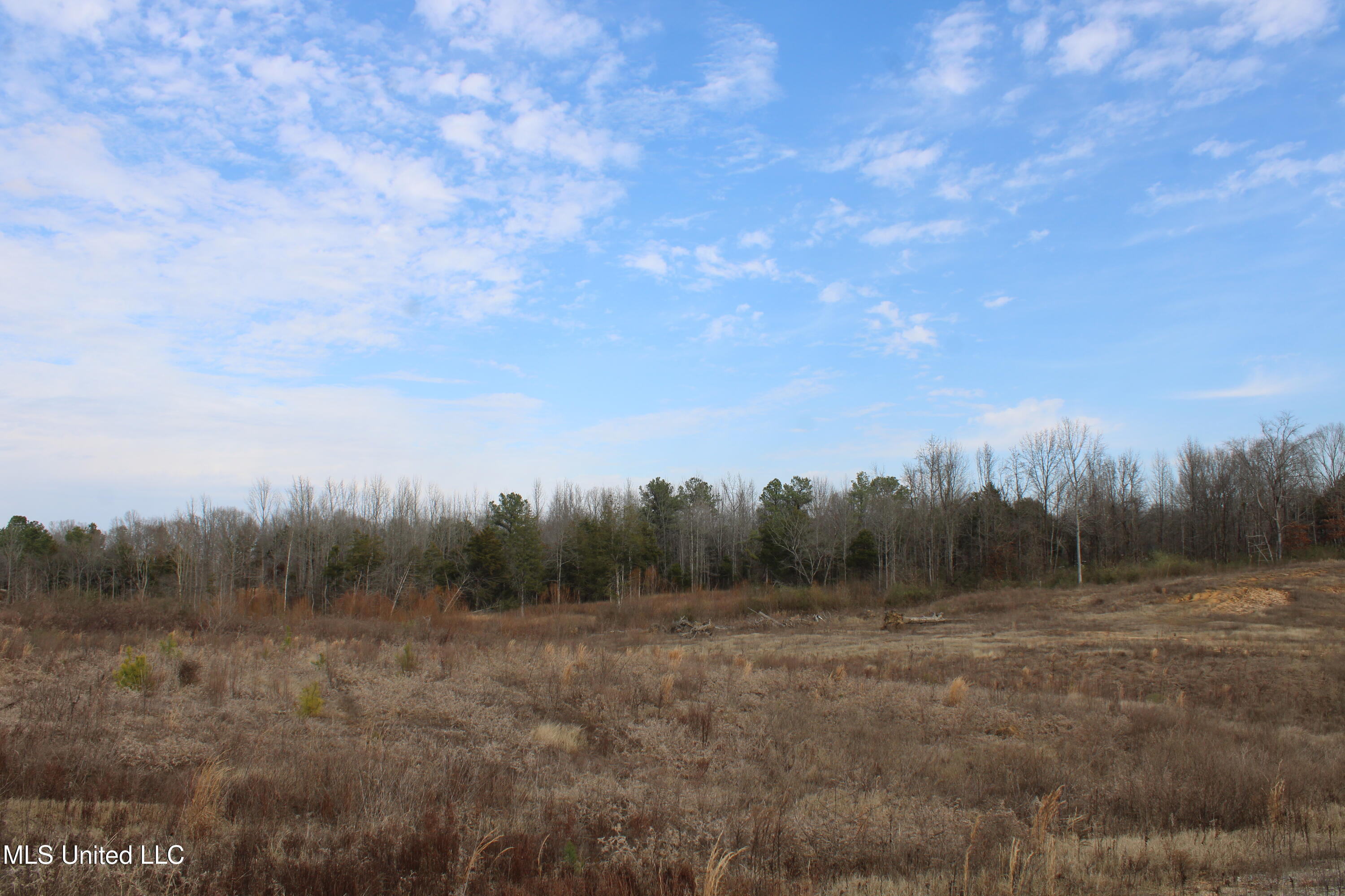 6 Taylor Nichole Road Byhalia, MS 38611 - Photo 10 of 22 IMG_7157