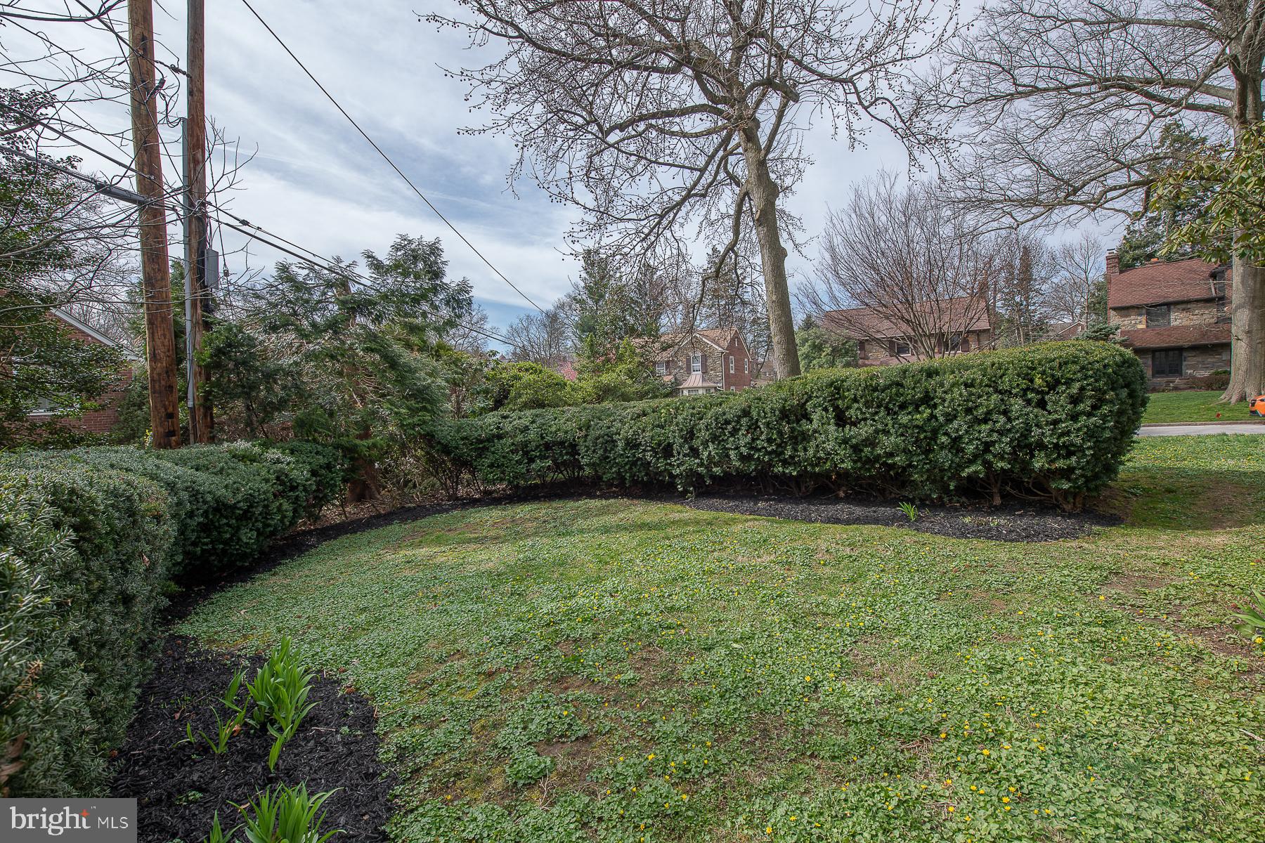 545 Putnam Road Merion Station, PA 19066 - Photo 18 of 67 Side Yard