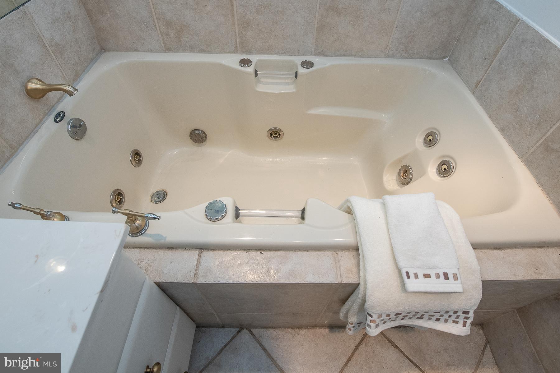 545 Putnam Road Merion Station, PA 19066 - Photo 44 of 67 Jacuzzi