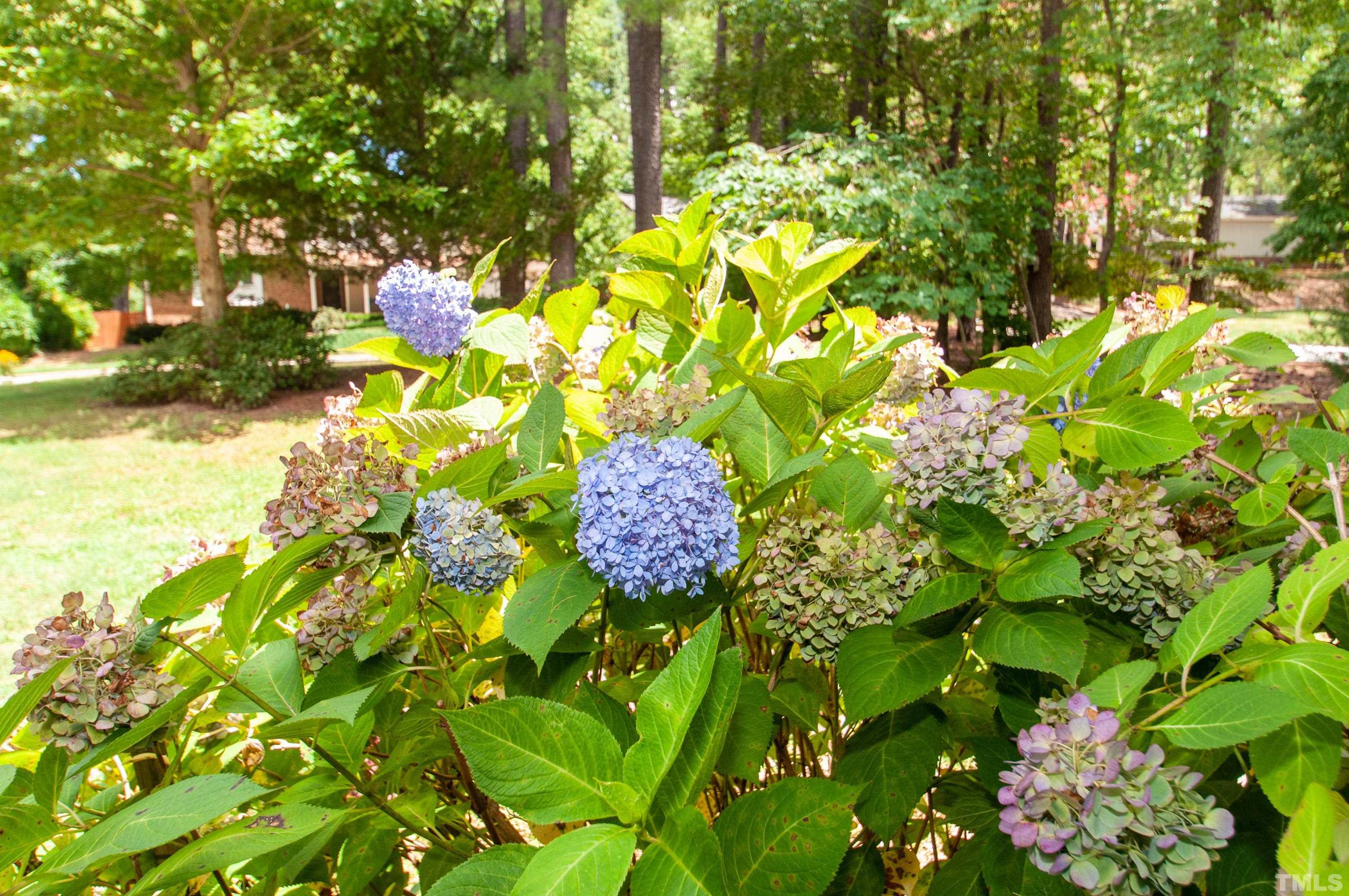6709 Van Haven Drive Raleigh, NC 27615 - Photo 49 of 53